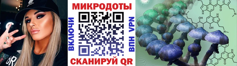 darknet состав  цена   Высоцк  Галлюциногенные грибы Psilocybe 